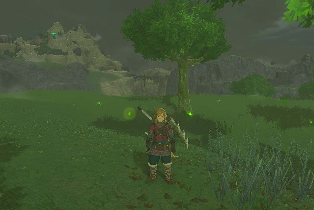 How to get sunset fireflies in Zelda: Tears of the Kingdom